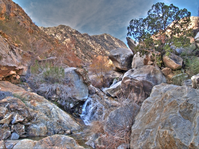 Cougar Canyon Jan 2011