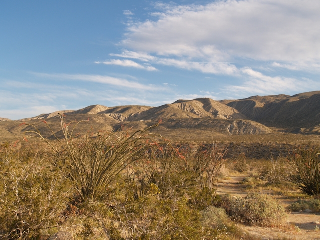 Coyote Creek March 2010