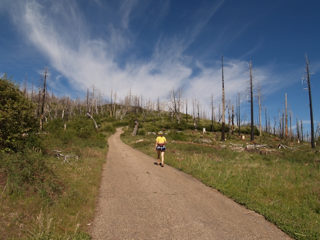 Cuyamaca Peak May 2012