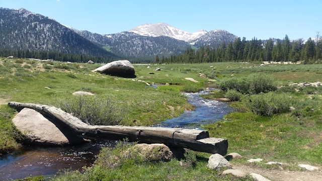 Horseshoe Meadows Loop June 2017