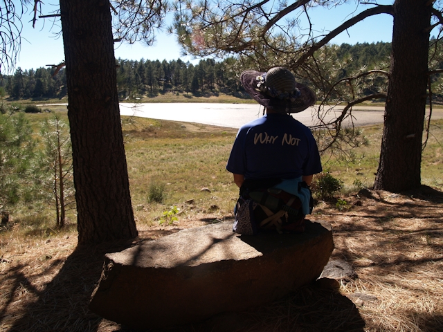 Laguna Mountain Sept 2013