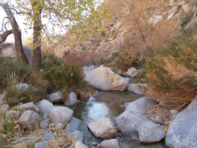 Sheep Canyon Jan 2012