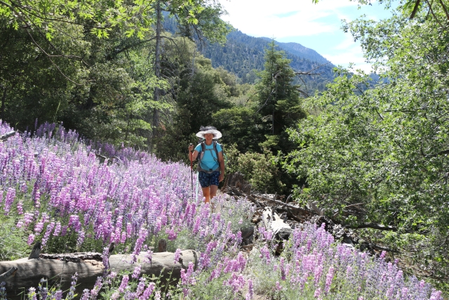 San Gorgonio June 2016