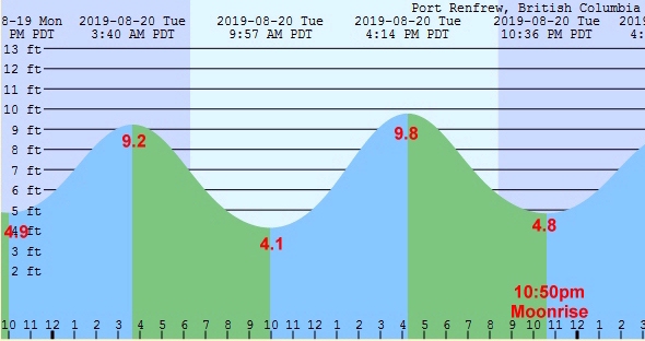 Tide Table at Port Renfrew, BC, Canada on August 20, 2019