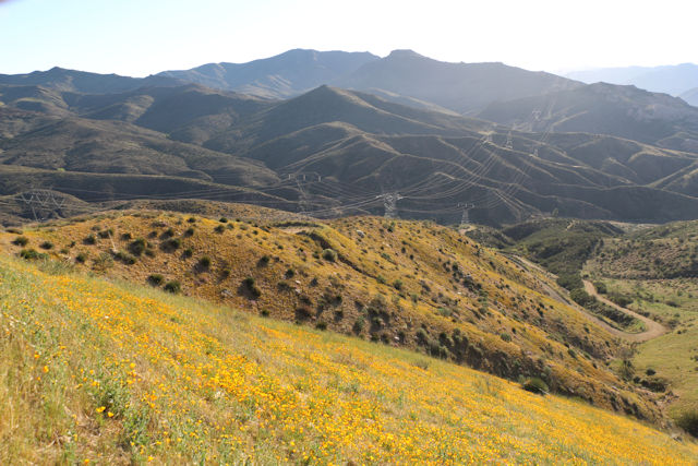Mile 444-454 Golden Spike to Agua Dulce 2022