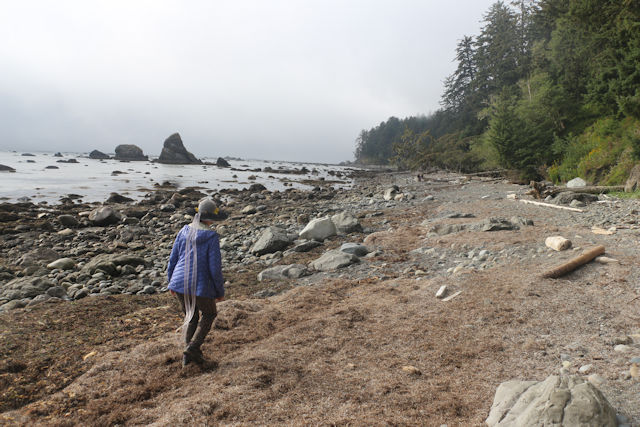 Cape Alava Olympic National Park 2022